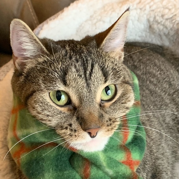 Meet your Posher, Lori - Picture 2 of 2